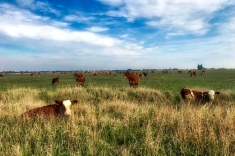 20181031_herbst_001 20181031_herbst_001