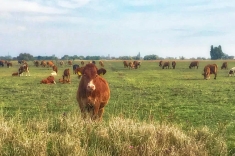 20181031_herbst_002 20181031_herbst_002