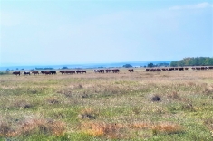 20181031_herbst_004 20181031_herbst_004