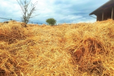 20181031_herbst_007 20181031_herbst_007