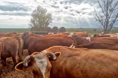 20181031_herbst_009 20181031_herbst_009