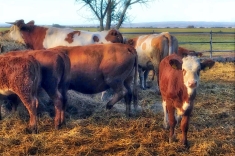 20181031_herbst_010 20181031_herbst_010