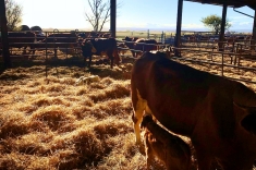 20181031_herbst_011 20181031_herbst_011