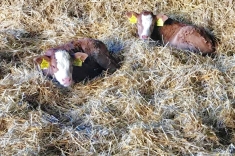 20181031_herbst_012 20181031_herbst_012