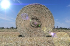 20190711_heu_003 20190711_heu_003