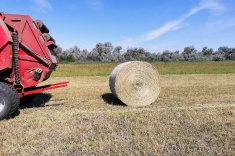 20190711_heu_005 20190711_heu_005