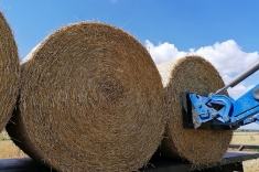 20190711_heu_006 20190711_heu_006