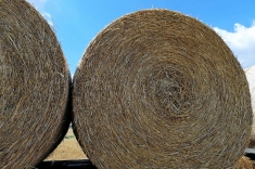 20190711_heu_008 20190711_heu_008