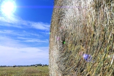 20190711_heu_010 20190711_heu_010