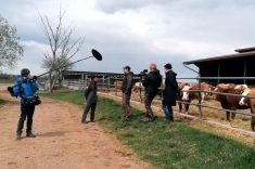 20210415_swr_arte_101 20210415_swr_arte_101