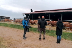 20210415_swr_arte_104 20210415_swr_arte_104