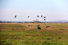 20210501_austrieb_007 20210501_austrieb_007