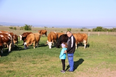 20210501_austrieb_024 20210501_austrieb_024