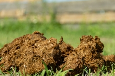 20220221_mist_000 20220221_mist_000