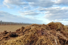 20220221_mist_001 20220221_mist_001