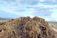 20220221_mist_003 20220221_mist_003