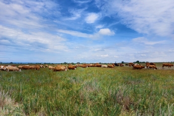 20220614_regen 20220614_regen