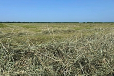 20230602_heu_1 20230602_heu_1