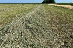 20230602_heu_2 20230602_heu_2