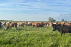 20240501_austrieb_5 20240501_austrieb_5