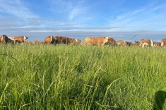 20240501_austrieb_6 20240501_austrieb_6