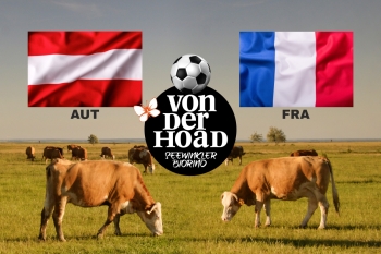 20240617_oesterreich_frankreich 20240617_oesterreich_frankreich